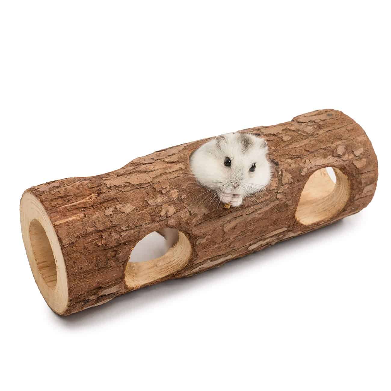 Best Accessories for Hamster Cage