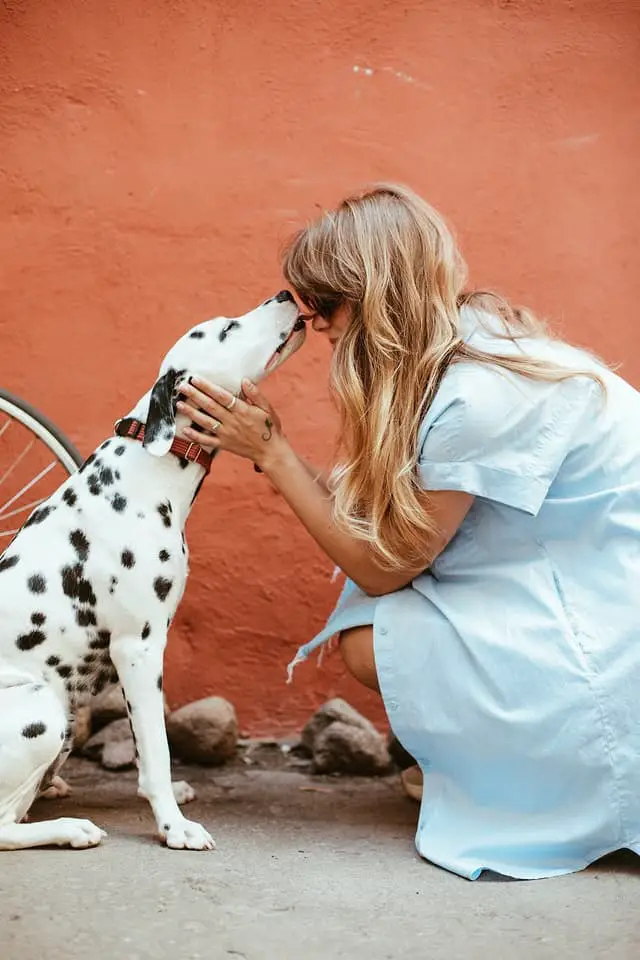 What is Pet Therapy or Zootherapy: benefits