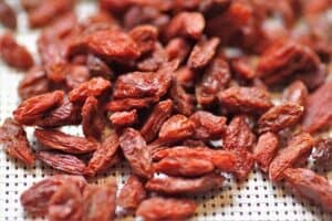 Can-Dogs-Eat-Goji-Berries