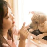 Dog Training tips, common dog training mistakes to avoid