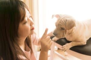 Dog-Training-tips-common-dog-training-mistakes-to-avoid