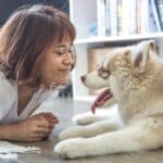 Positive-reinforcement-educating-and-making-the-dog-happy
