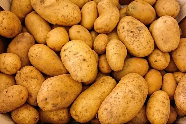 Can Dogs eat Potatoes or Sweet Potatoes? Are Potatoes safe for dogs? (...Yes)