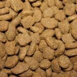 4 reasons to avoid dry dog ​​food