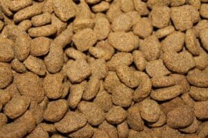 4-reasons-to-avoid-dry-dog-​​food