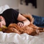 Sleeping with a pet: is it correct?