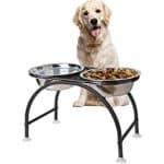 The benefits of the raised bowl for dogs