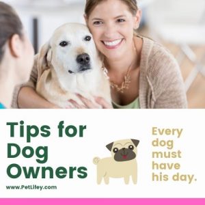 Tips-for-Dog-Owners-PetLifey