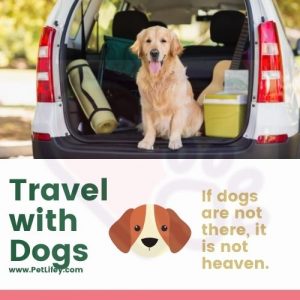 Travel-with-dogs-PetLifey