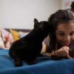 5 signs your cat trusts you