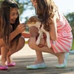 How Cats and Dogs Calm Children