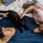 How Cats and Dogs Help You Sleep Better
