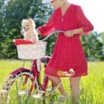 The dog is afraid of bicycles: why and what to do about it