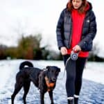 Tips for walking your dog this winter