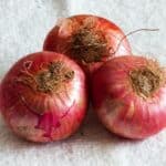 The cat ate the onion: risks and what to do