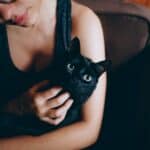 Reiki on cats: all the benefits for animals
