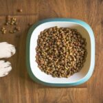 The cat eats the dog's kibble: what happens in this case