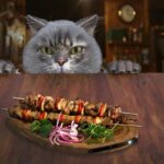 How long can a cat last without eating, consequences and remedies
