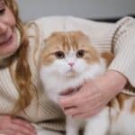 This is why your cat doesn't like to be hugged