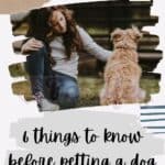 6 things to know before petting a dog