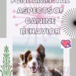 Fundamental-aspects-of-canine-behavior-1a