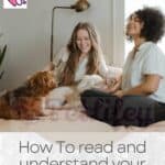 How-To-read-and-understand-your-Dogs-Body-Language-1a