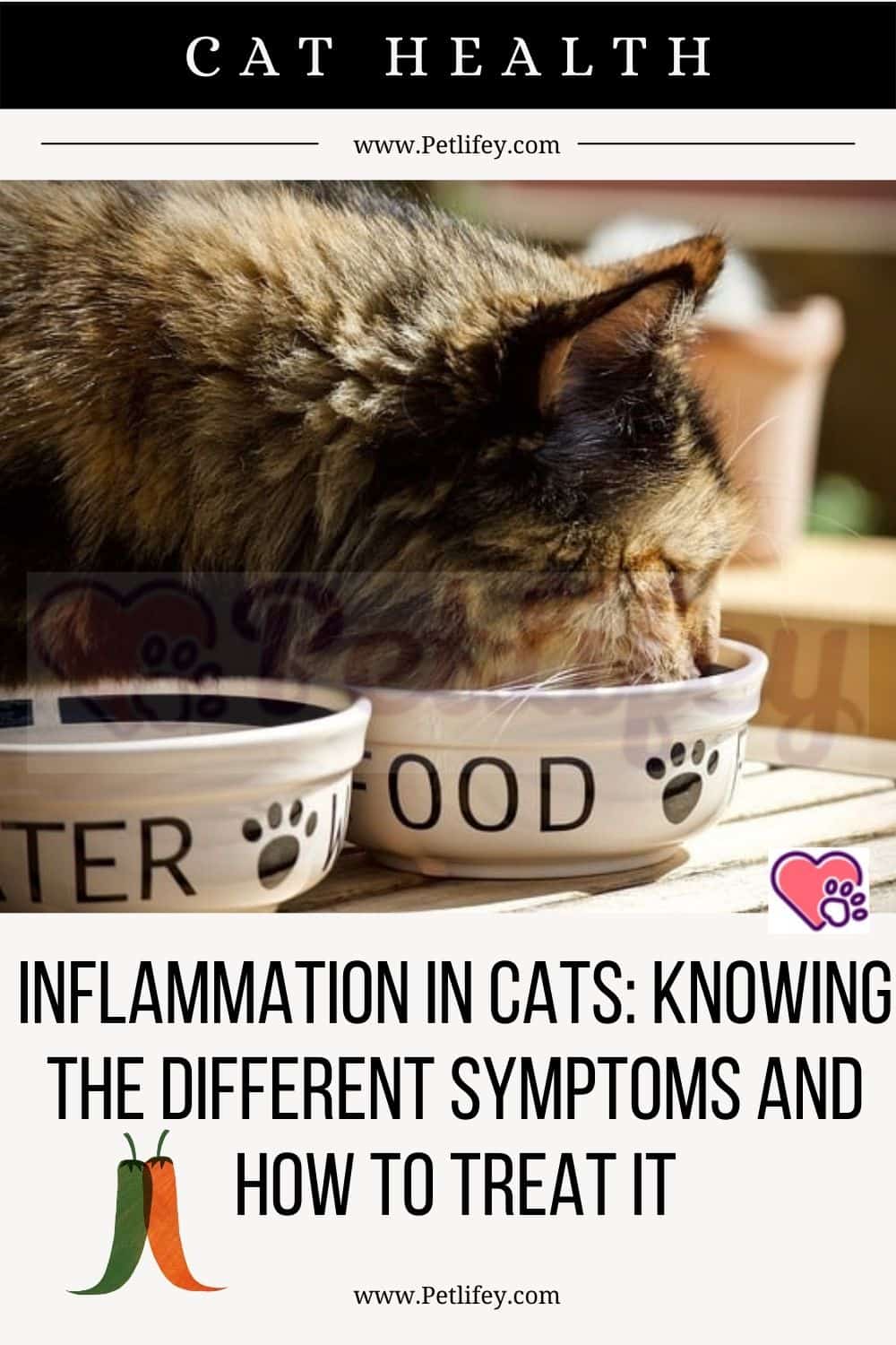 Inflammation in cats