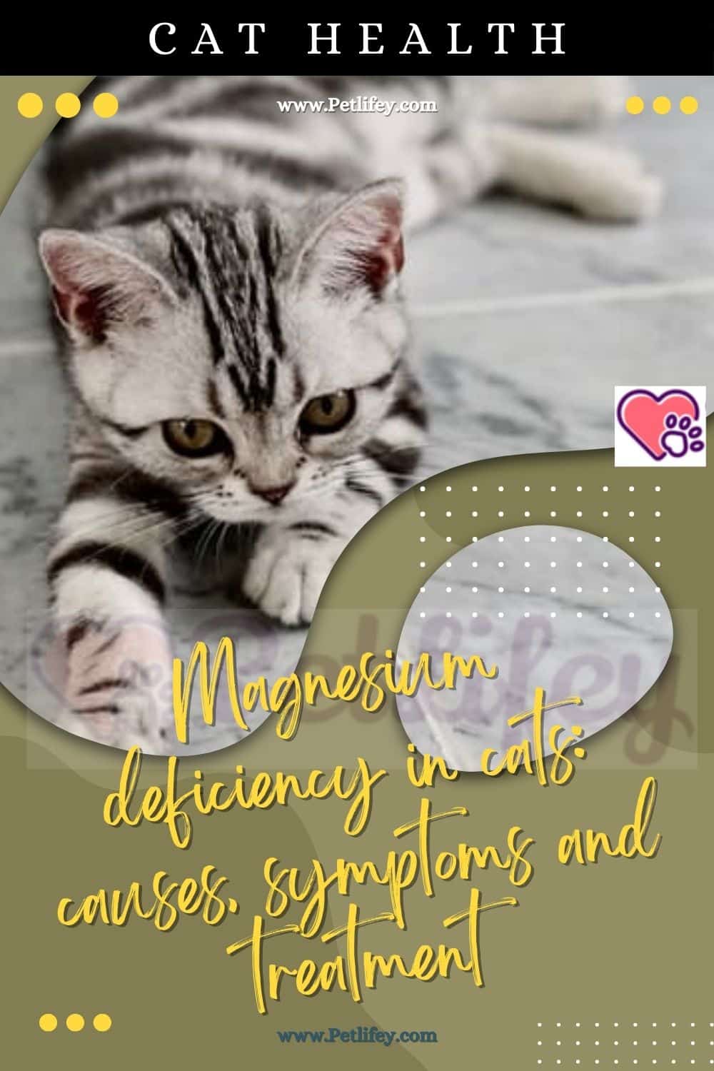 Magnesium deficiency in cats