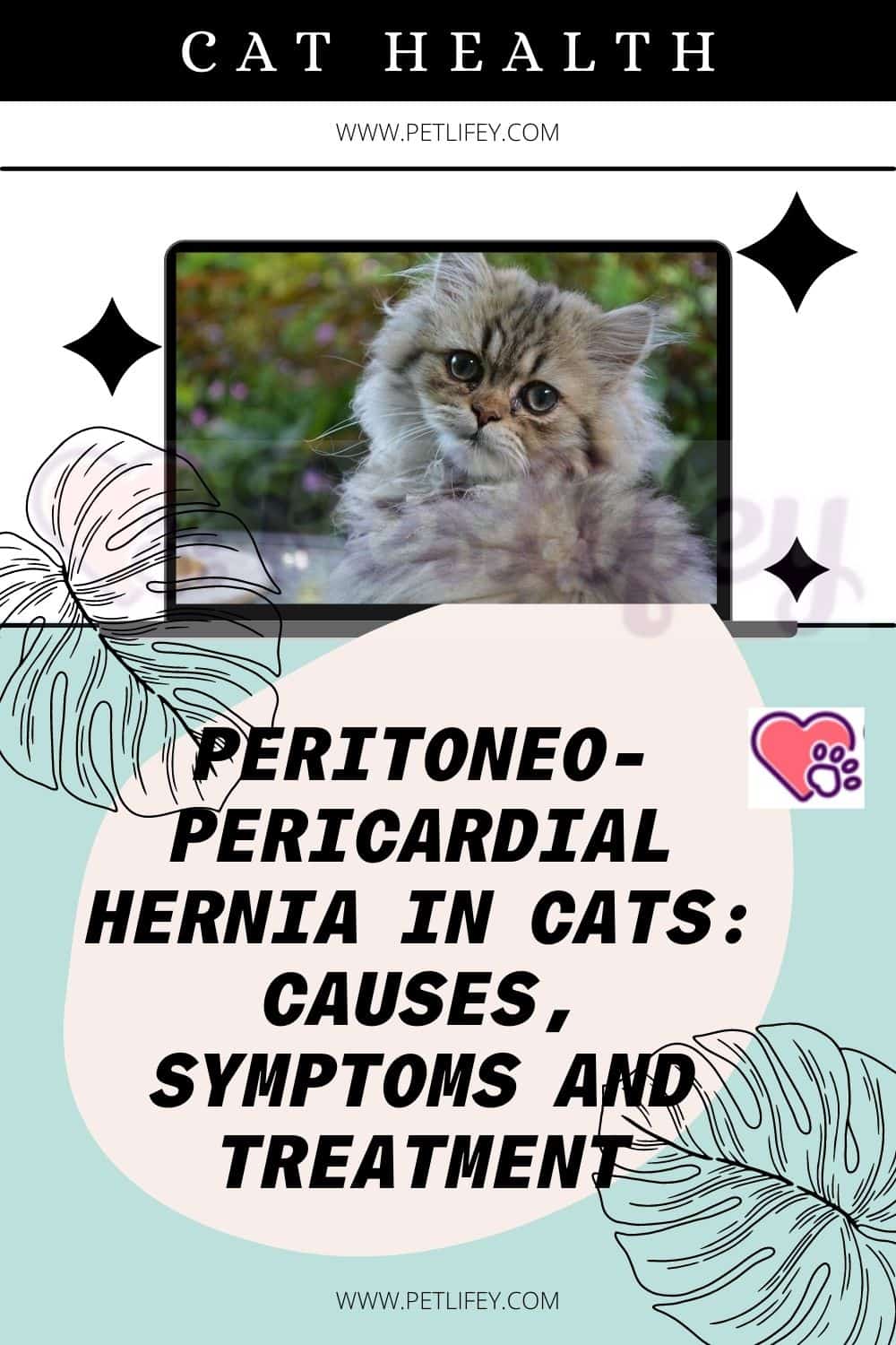 Peritoneo-pericardial hernia