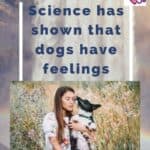 Science has shown that dogs have feelings