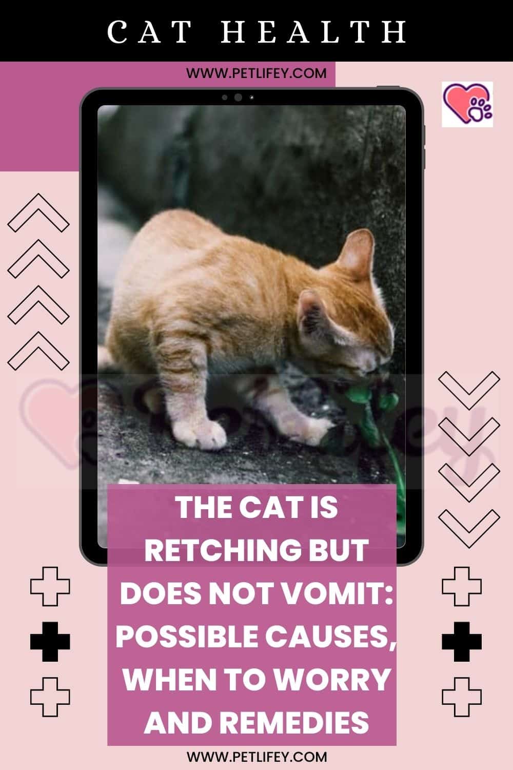 The cat is retching but does not vomit