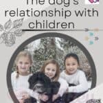 The dog's relationship with children