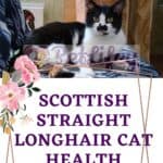 Scottish-Straight-Longhair-Cat-health-diseases-of-the-breed-1a