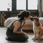 Signs that show that your dog loves you