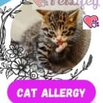 Cat-Allergy-causes-symptoms-and-remedies-1a