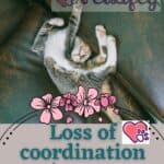 Loss of coordination in cats: causes, symptoms and treatment