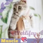 Muscle problems in cats