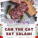 Can the cat eat salami: Risks and benefits