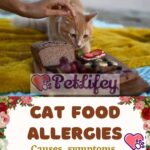 Cat-food-allergies-causes-symptoms-treatment-and-prevention-1a