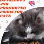 Dangerous-and-Prohibited-Foods-for-Cats-1a