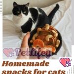 Homemade snacks for cats: quick and tasty recipes
