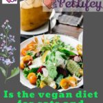 Is the vegan diet for cats and dogs dangerous?
