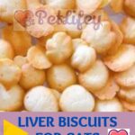 Liver-biscuits-for-cats-an-irresistible-snack-1a