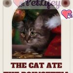 The-cat-ate-the-poinsettia-symptoms-and-remedies-1a