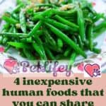 4 inexpensive human foods that you can share with your cat