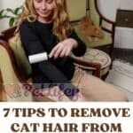 7-Tips-to-Remove-cat-hair-from-clothes-1a