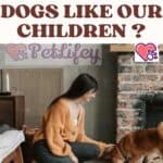 Are cats and dogs like our children ?