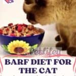 BARF diet for the cat: what it is, what foods, the pros and cons for the cat