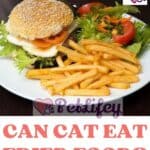 Can Cat eat Fried Food?