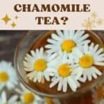 Can Cats drink Chamomile Tea?